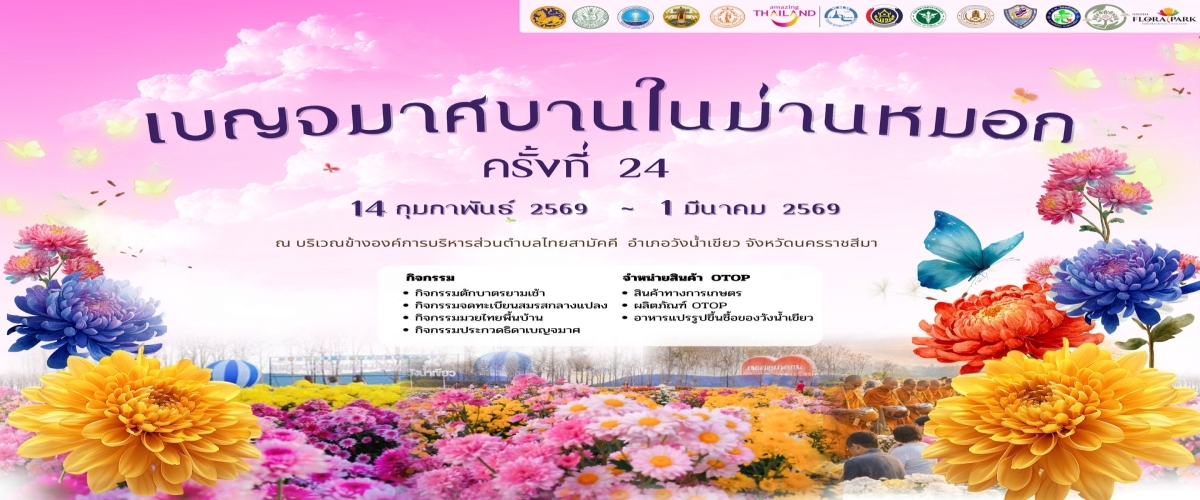 เทศกาลเบญจมาศบาน 2569